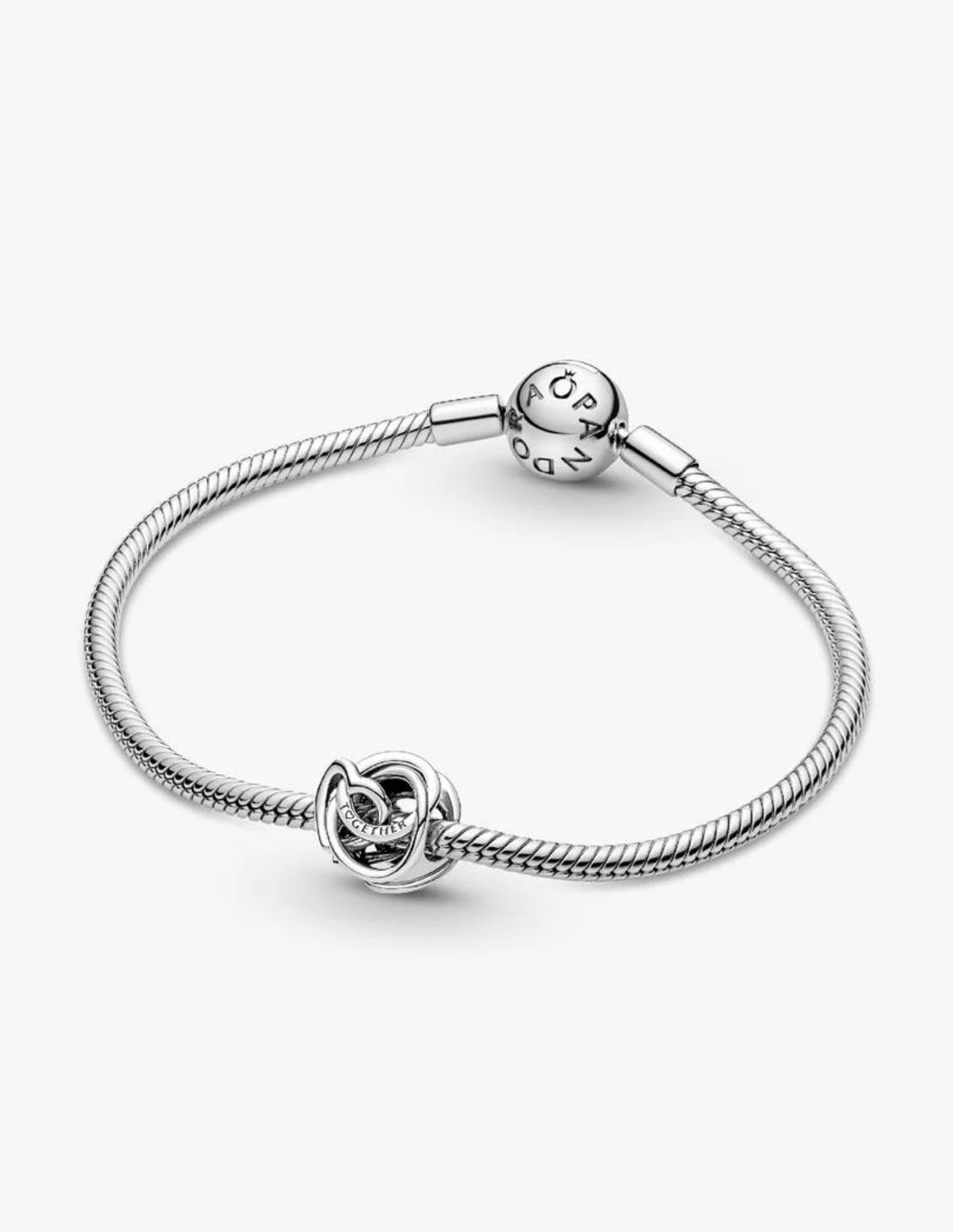 Pandora Family Always Encircled Heart Charm